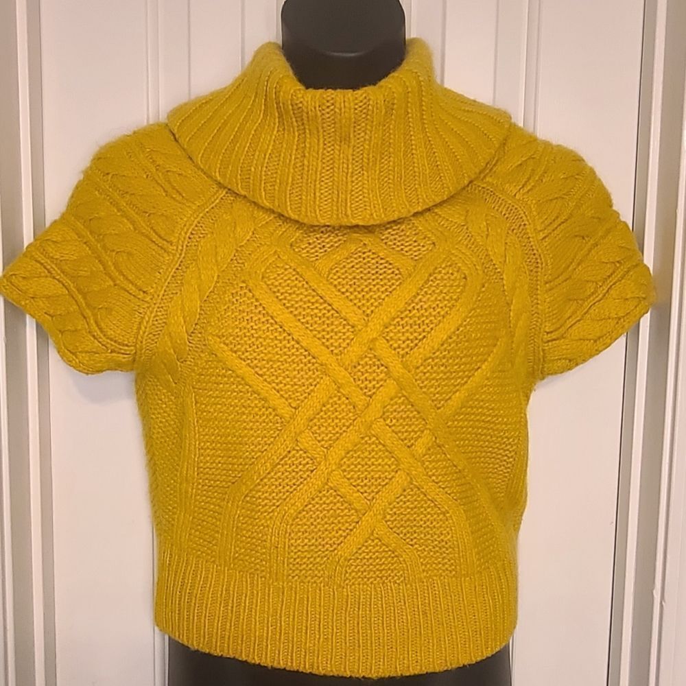 Ann Taylor LOFT Turtleneck Sweater